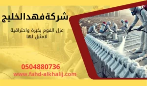 شركة عزل فوم بحي العزيزية 
