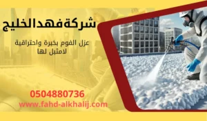 شركة عزل فوم بحي العزيزية