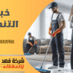 غسيل شقق